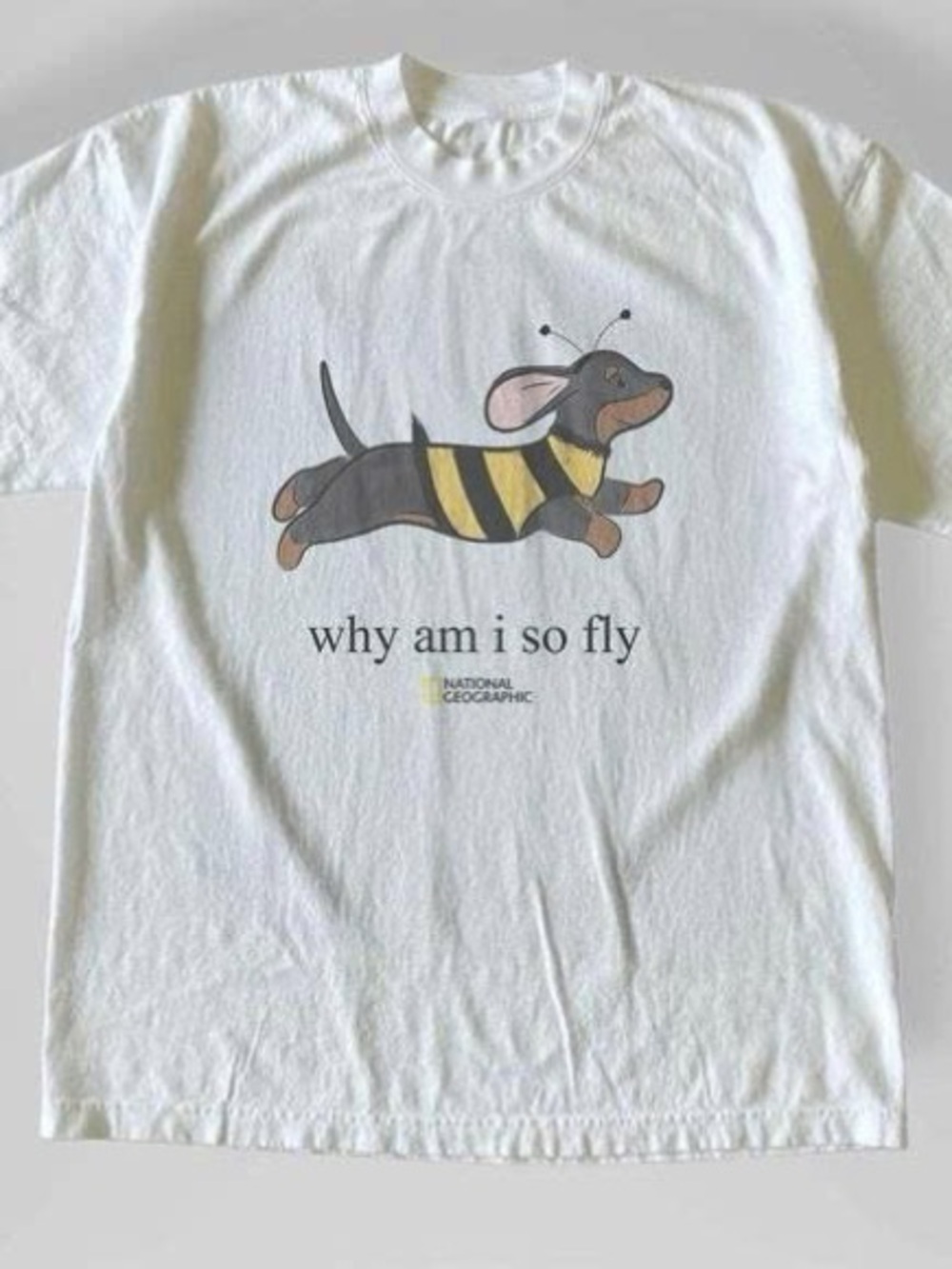 Dachshund shirt, White Graphic Tee with Yellow & Black Dachshund Bee Print